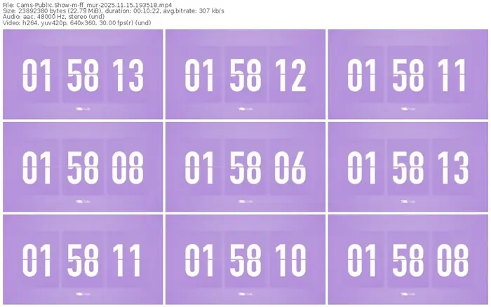 cams-ff_mur-11-15-2025-19-35-18