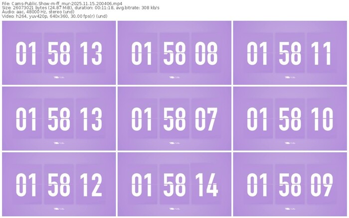 cams-ff_mur-11-15-2025-20-04-06