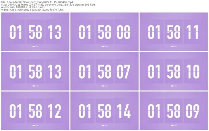cams-ff_mur-11-15-2025-20-04-06
