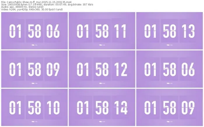 cams-ff_mur-11-15-2025-20-31-35