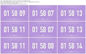 cams-ff_mur-11-15-2025-20-46-43