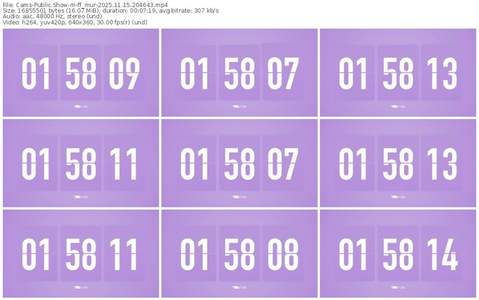 cams-ff_mur-11-15-2025-20-46-43
