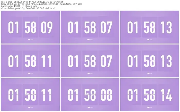 cams-ff_mur-11-15-2025-20-46-43