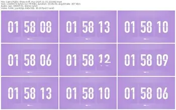 cams-ff_mur-11-15-2025-21-04-42