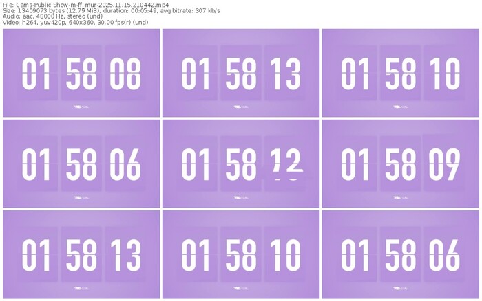 cams-ff_mur-11-15-2025-21-04-42