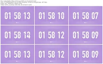 cams-ff_mur-11-15-2025-21-15-27