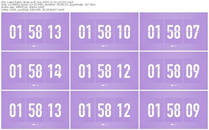 cams-ff_mur-11-15-2025-21-15-27