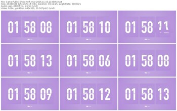 cams-ff_mur-11-15-2025-21-39-05