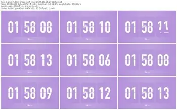 cams-ff_mur-11-15-2025-21-39-05