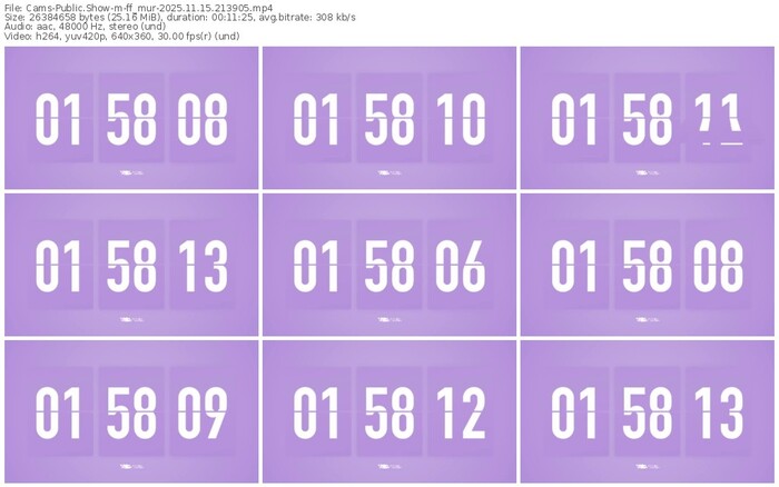 cams-ff_mur-11-15-2025-21-39-05