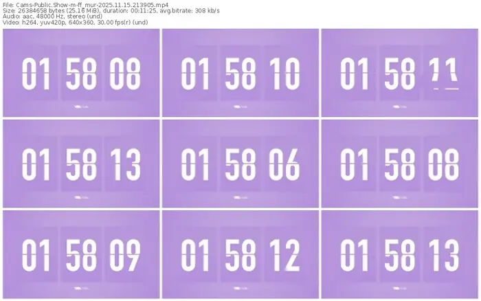 cams-ff_mur-11-15-2025-21-39-05