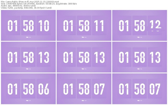 cams-ff_mur-11-15-2025-22-00-03
