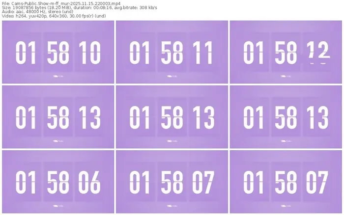 cams-ff_mur-11-15-2025-22-00-03