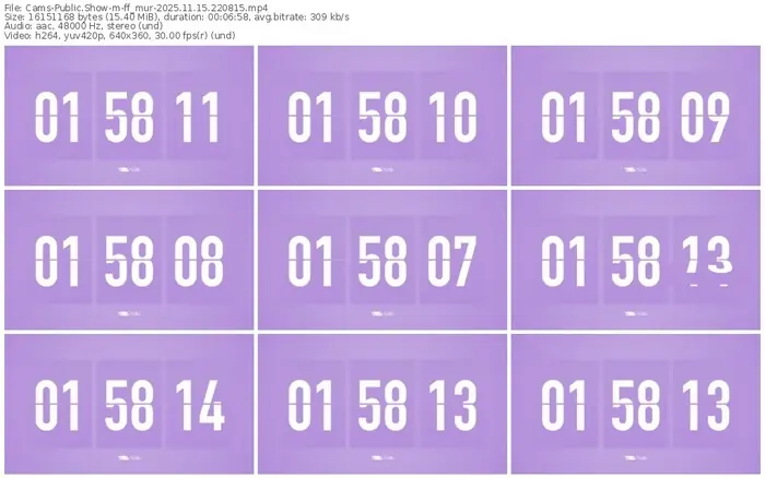 cams-ff_mur-11-15-2025-22-08-15