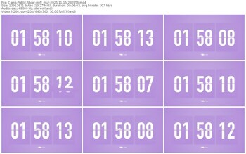 cams-ff_mur-11-15-2025-23-29-56