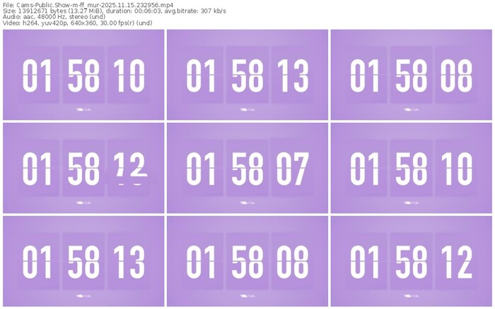 cams-ff_mur-11-15-2025-23-29-56