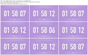 cams-ff_mur-11-15-2025-23-48-25