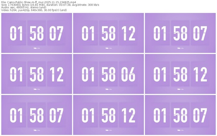 cams-ff_mur-11-15-2025-23-48-25