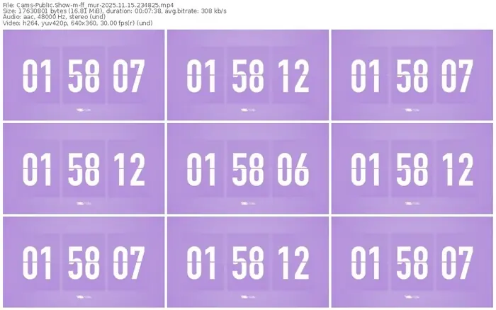 cams-ff_mur-11-15-2025-23-48-25