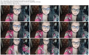 cams-bluedream21-11-16-2025-00-07-16