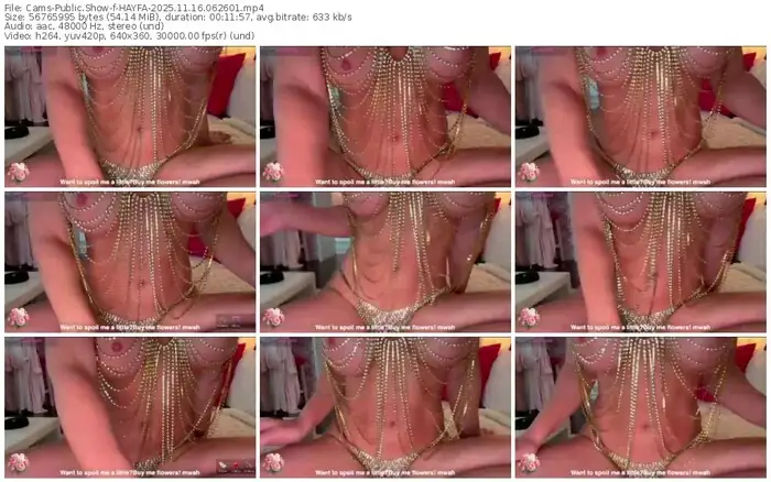 cams-hayfa-11-16-2025-06-26-01