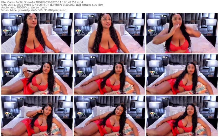 cams-karolflow-11-16-2025-14-25-59