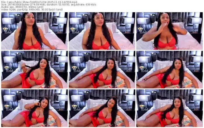 cams-karolflow-11-16-2025-14-25-59