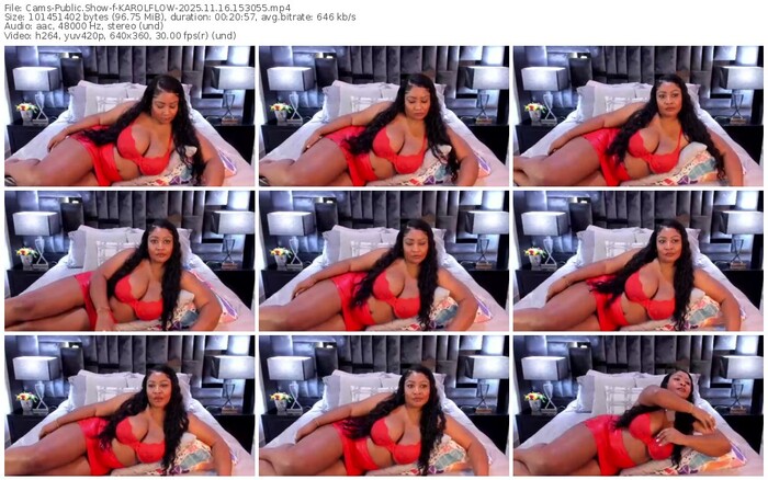 cams-karolflow-11-16-2025-15-30-55