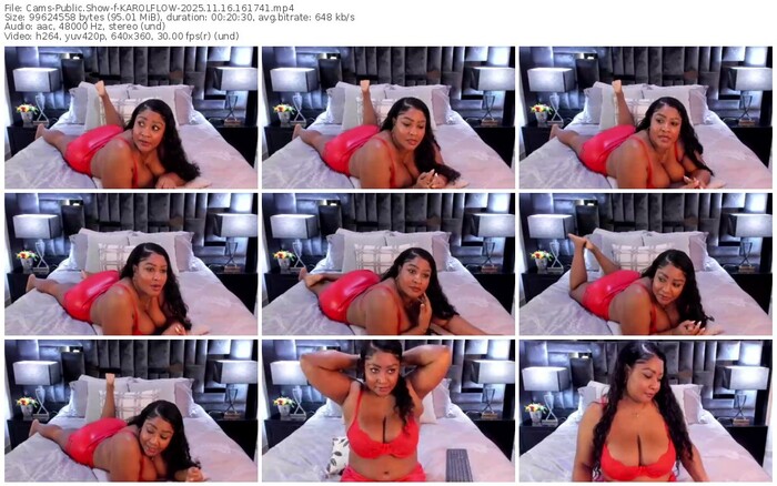 cams-karolflow-11-16-2025-16-17-41