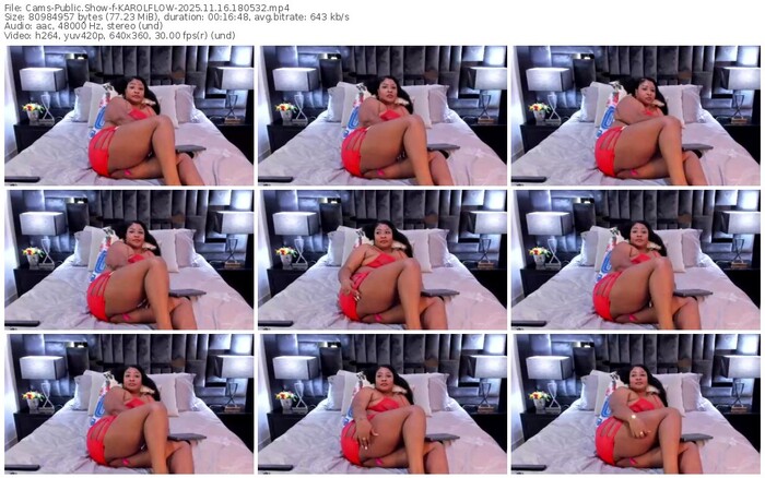 cams-karolflow-11-16-2025-18-05-32