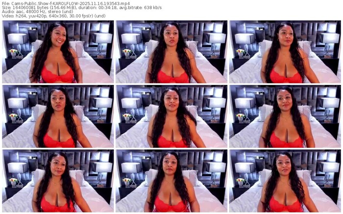 cams-karolflow-11-16-2025-19-35-43