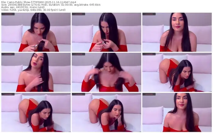 cams-ttiffany-11-16-2025-11-46-47