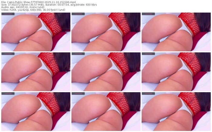 cams-ttiffany-11-16-2025-15-22-46