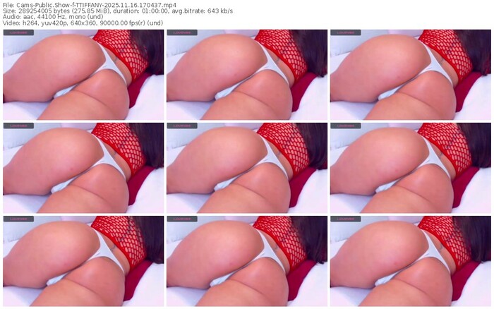 cams-ttiffany-11-16-2025-17-04-37