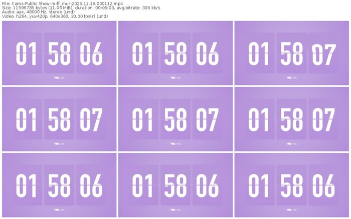 cams-ff_mur-11-16-2025-00-01-12