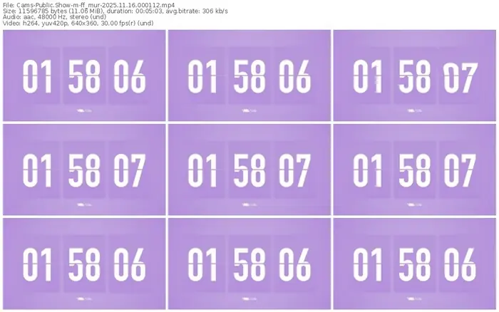 cams-ff_mur-11-16-2025-00-01-12