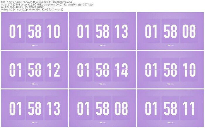 cams-ff_mur-11-16-2025-00-08-33