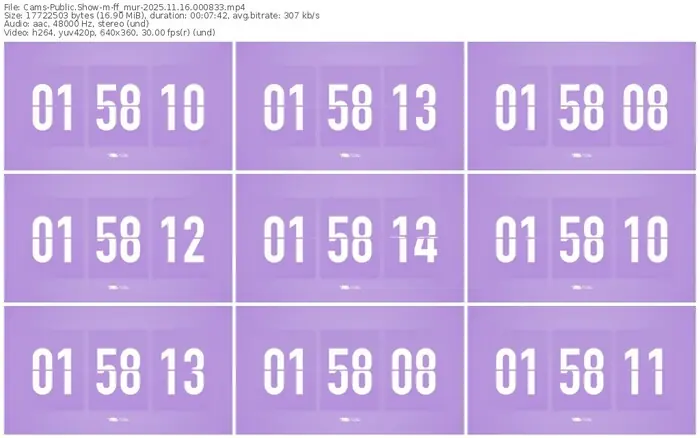cams-ff_mur-11-16-2025-00-08-33