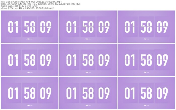 cams-ff_mur-11-16-2025-00-18-47