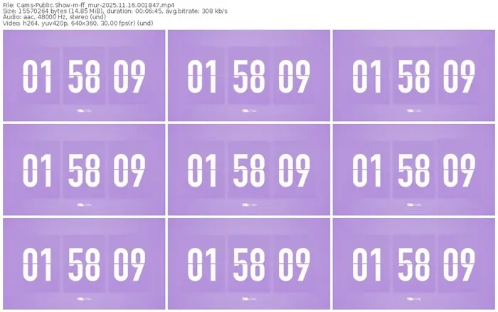 cams-ff_mur-11-16-2025-00-18-47