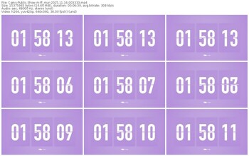 cams-ff_mur-11-16-2025-00-33-33