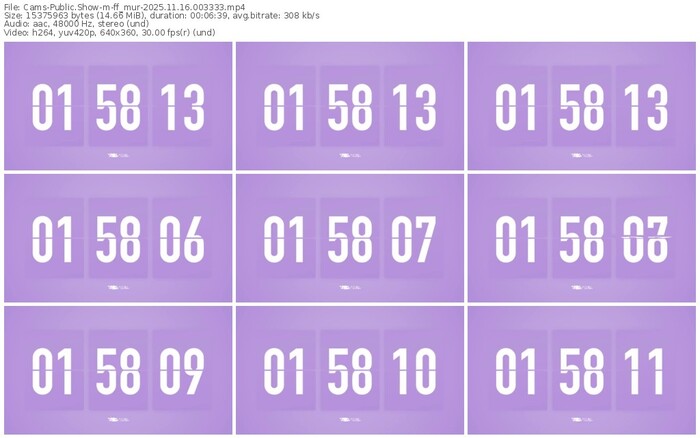 cams-ff_mur-11-16-2025-00-33-33