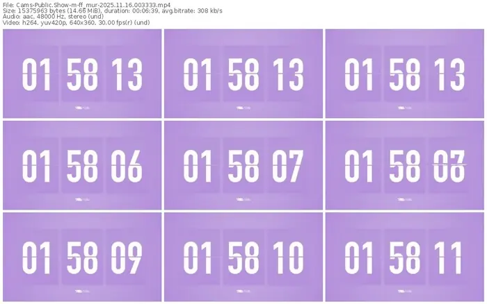 cams-ff_mur-11-16-2025-00-33-33
