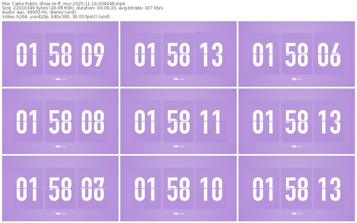 cams-ff_mur-11-16-2025-00-40-48