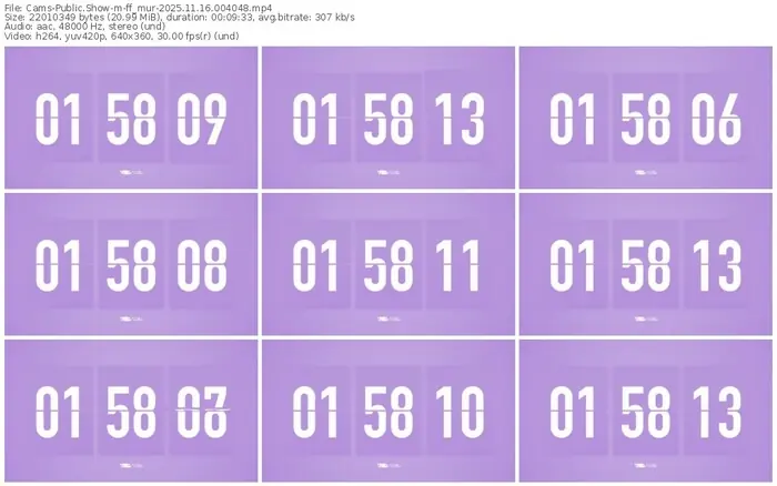 cams-ff_mur-11-16-2025-00-40-48
