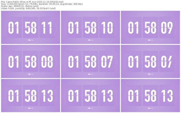 cams-ff_mur-11-16-2025-00-54-20