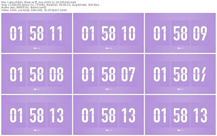 cams-ff_mur-11-16-2025-00-54-20