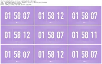 cams-ff_mur-11-16-2025-01-03-29