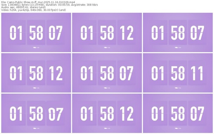 cams-ff_mur-11-16-2025-01-03-29