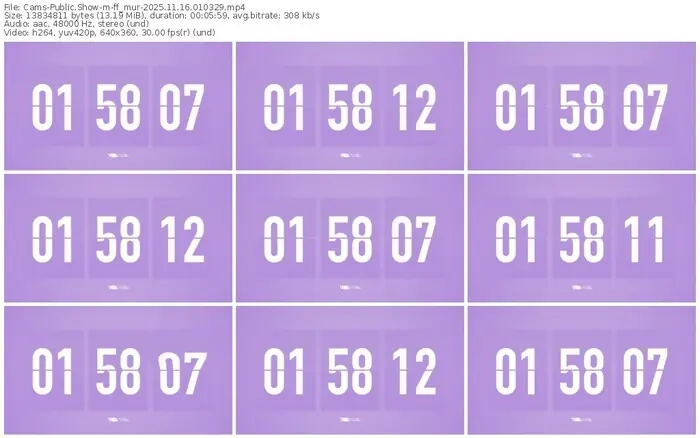 cams-ff_mur-11-16-2025-01-03-29